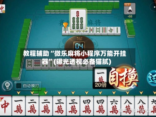 教程辅助“微乐麻将小程序万能开挂器”(曝光透视必备猫腻)-第2张图片