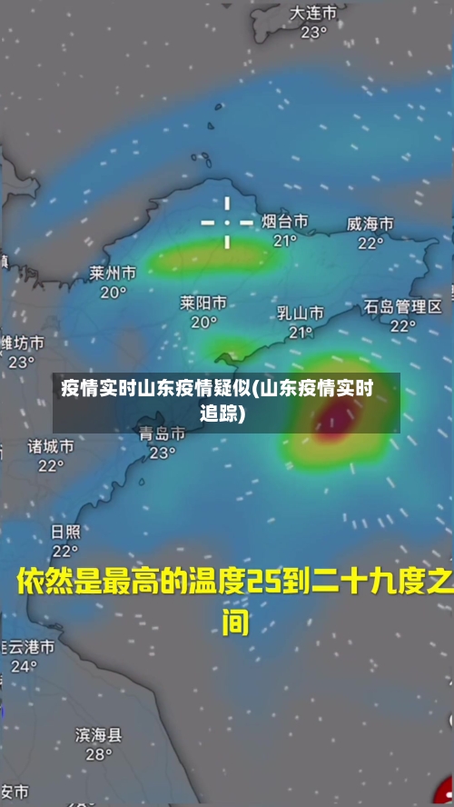疫情实时山东疫情疑似(山东疫情实时追踪)-第3张图片