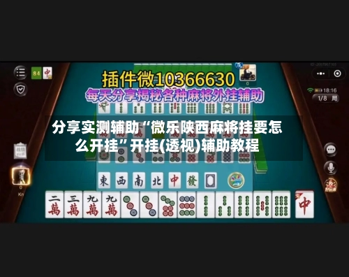 分享实测辅助“微乐陕西麻将挂要怎么开挂”开挂(透视)辅助教程-第2张图片