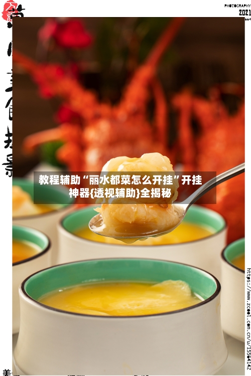教程辅助“丽水都菜怎么开挂”开挂神器{透视辅助}全揭秘-第2张图片