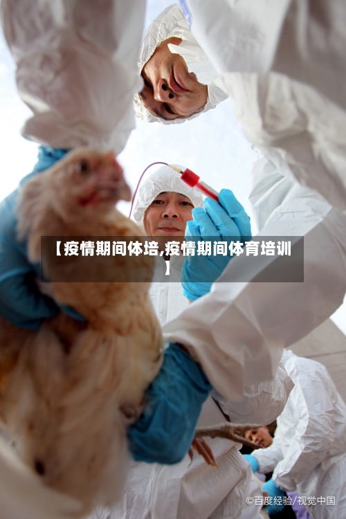 【疫情期间体培,疫情期间体育培训】