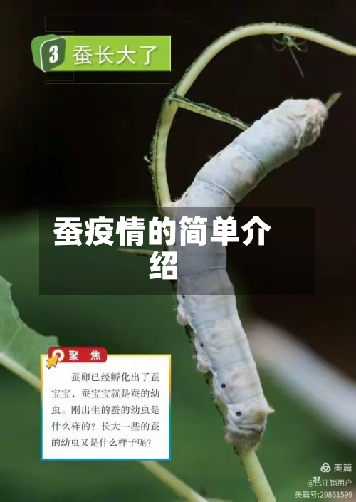 蚕疫情的简单介绍-第2张图片
