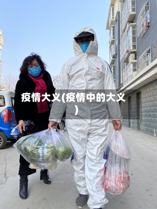 疫情大义(疫情中的大义)-第3张图片