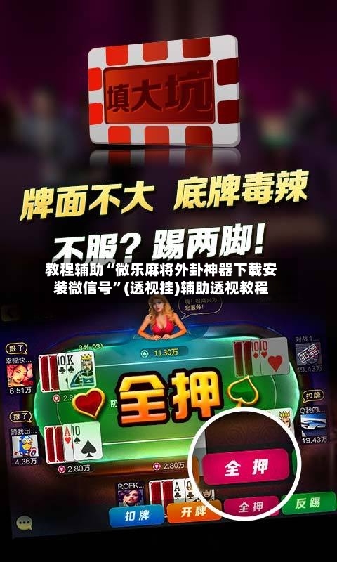 教程辅助“微乐麻将外卦神器下载安装微信号”(透视挂)辅助透视教程-第2张图片