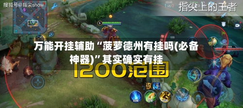 万能开挂辅助“菠萝德州有挂吗(必备神器)”其实确实有挂-第3张图片
