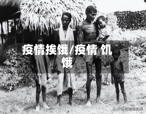 疫情挨饿/疫情 饥饿