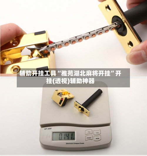 辅助开挂工具“雅苑湖北麻将开挂	”开挂(透视)辅助神器-第2张图片
