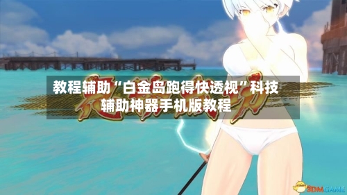 教程辅助“白金岛跑得快透视”科技辅助神器手机版教程-第2张图片