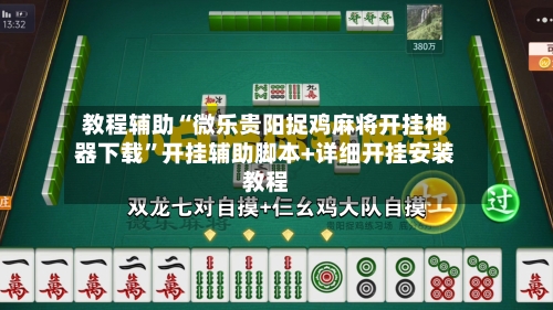 教程辅助“微乐贵阳捉鸡麻将开挂神器下载”开挂辅助脚本+详细开挂安装教程-第2张图片