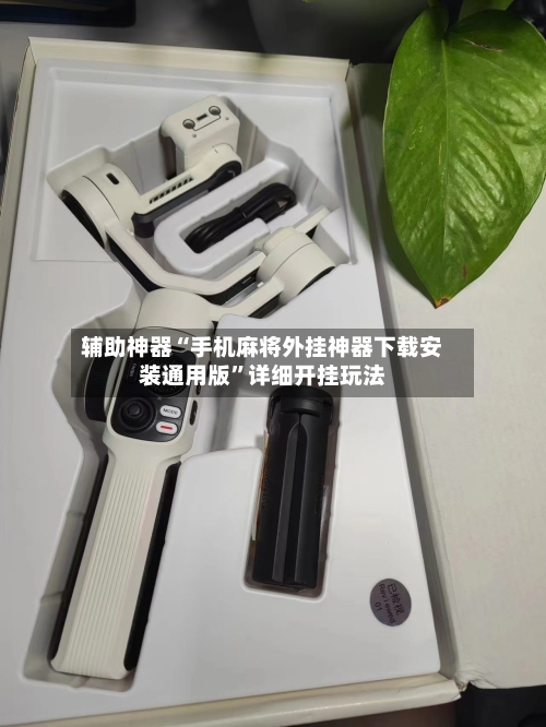 辅助神器“手机麻将外挂神器下载安装通用版”详细开挂玩法-第2张图片
