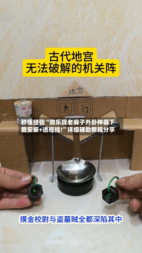 秒懂经验“微乐捉老麻子外卦神器下载安装+透视挂!”详细辅助教程分享-第2张图片