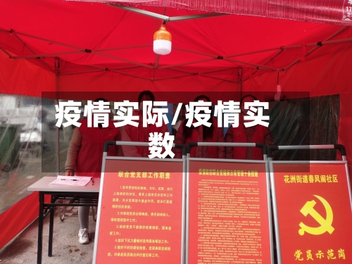 疫情实际/疫情实数-第2张图片