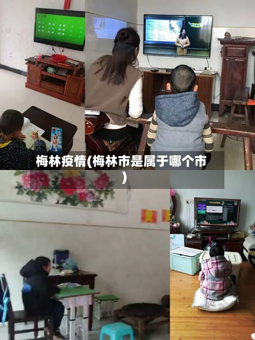 梅林疫情(梅林市是属于哪个市)-第2张图片
