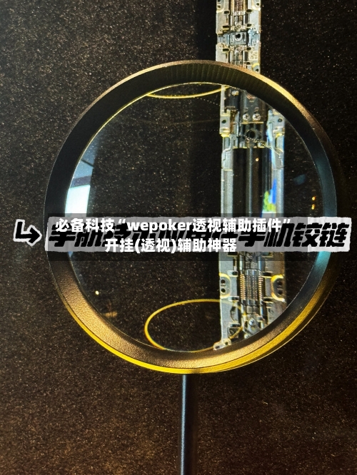 必备科技“wepoker透视辅助插件”开挂(透视)辅助神器-第3张图片