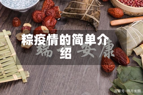 粽疫情的简单介绍-第3张图片