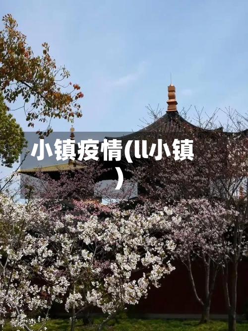 小镇疫情(ll小镇)