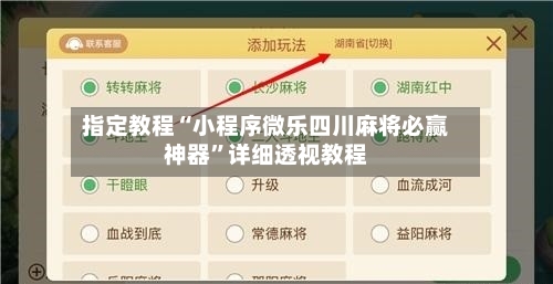 指定教程“小程序微乐四川麻将必赢神器”详细透视教程-第3张图片