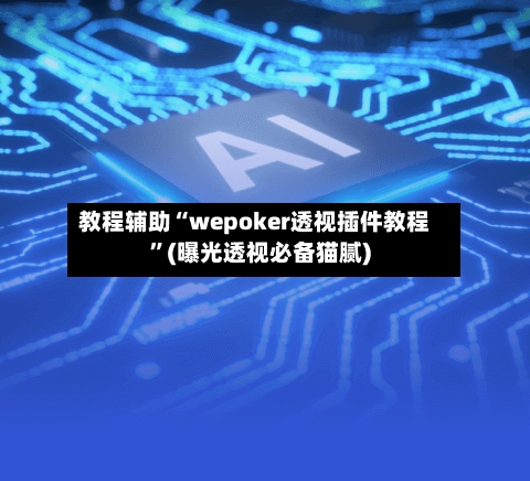 教程辅助“wepoker透视插件教程	”(曝光透视必备猫腻)-第2张图片