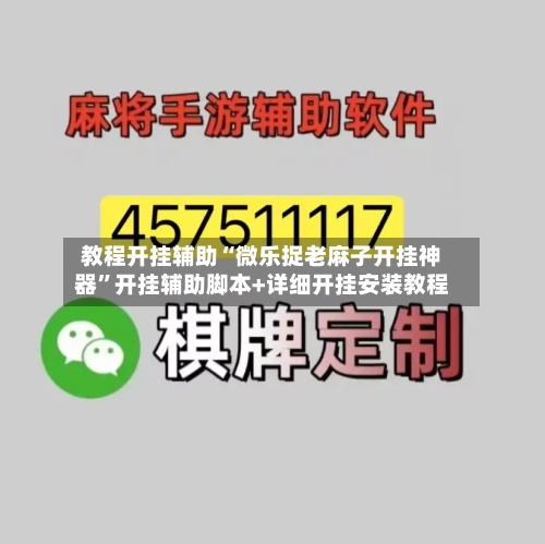 教程开挂辅助“微乐捉老麻子开挂神器	”开挂辅助脚本+详细开挂安装教程-第2张图片