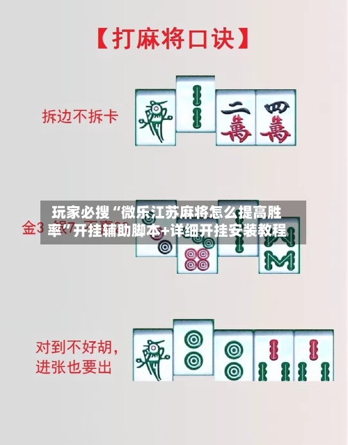 玩家必搜“微乐江苏麻将怎么提高胜率”开挂辅助脚本+详细开挂安装教程-第3张图片