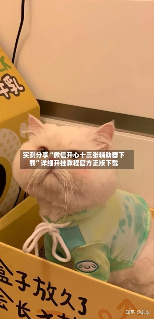 实测分享“微信开心十三张辅助器下载”详细开挂教程官方正版下载-第2张图片