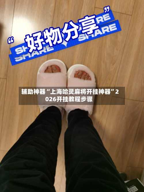 辅助神器“上海哈灵麻将开挂神器”2026开挂教程步骤-第3张图片