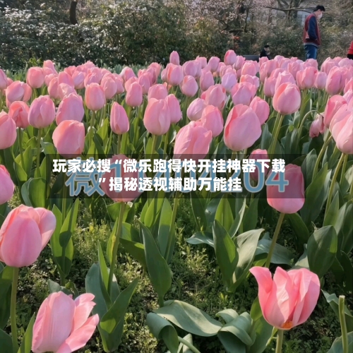 玩家必搜“微乐跑得快开挂神器下载”揭秘透视辅助万能挂-第2张图片