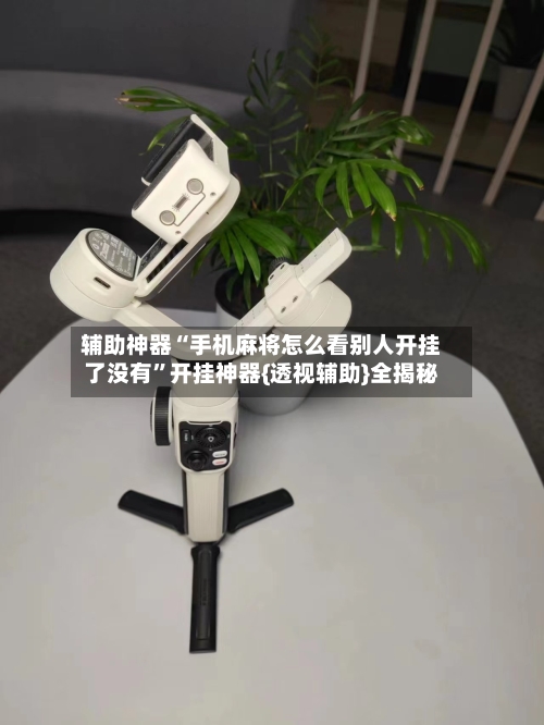 辅助神器“手机麻将怎么看别人开挂了没有	”开挂神器{透视辅助}全揭秘-第2张图片