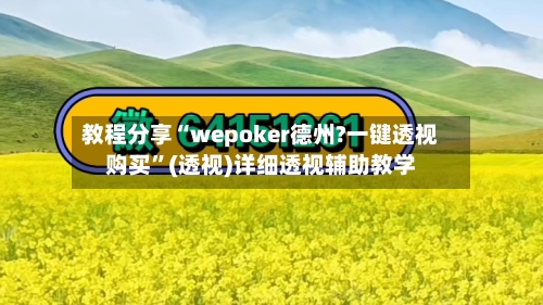 教程分享“wepoker德州?一键透视购买”(透视)详细透视辅助教学-第2张图片