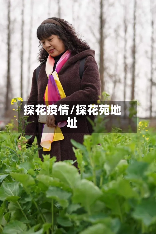 探花疫情/探花苑地址-第3张图片