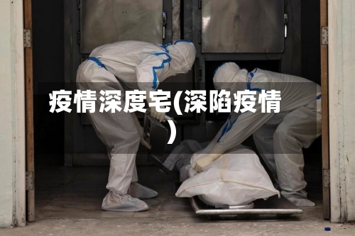 疫情深度宅(深陷疫情)
