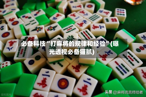 必备科技“打麻将的规律和经验”(曝光透视必备猫腻)-第2张图片