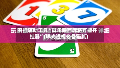 开挂辅助工具“微乐陕西麻将万能开挂器”(曝光透视必备猫腻)