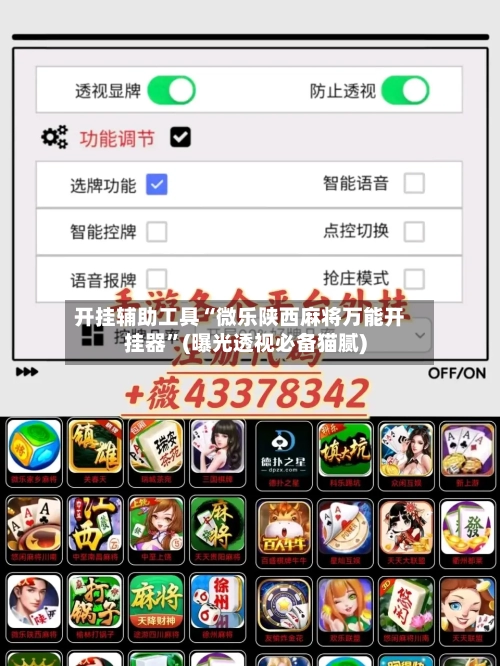 开挂辅助工具“微乐陕西麻将万能开挂器”(曝光透视必备猫腻)-第2张图片