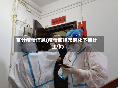 审计疫情信息(疫情防控常态化下审计工作)-第2张图片