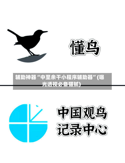 辅助神器“中至余干小程序辅助器	”(曝光透视必备猫腻)-第2张图片