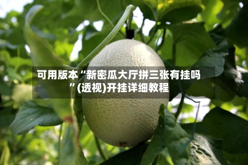 可用版本“新密瓜大厅拼三张有挂吗”(透视)开挂详细教程-第2张图片