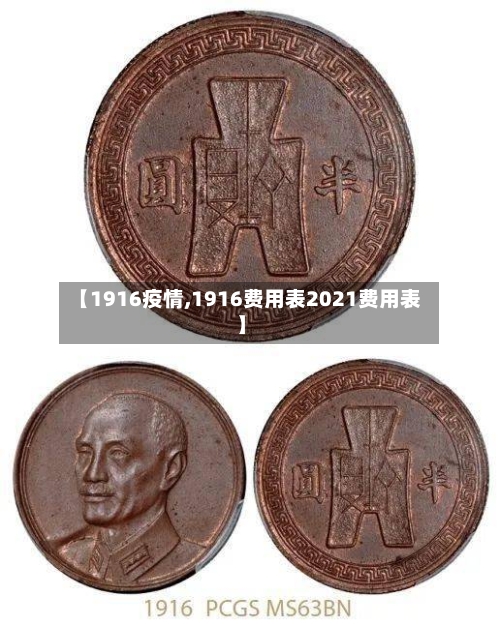 【1916疫情,1916费用表2021费用表】-第3张图片