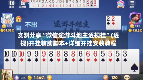 实测分享“微信途游斗地主透视挂”(透视)开挂辅助脚本+详细开挂安装教程-第3张图片