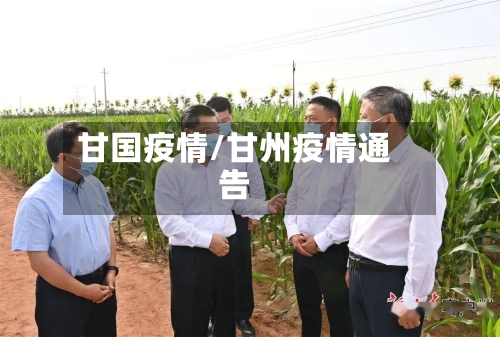 甘国疫情/甘州疫情通告-第3张图片