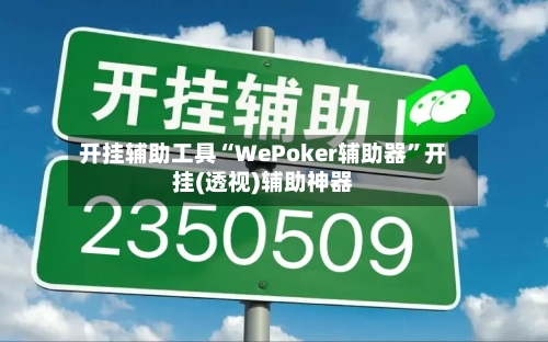 开挂辅助工具“WePoker辅助器	”开挂(透视)辅助神器-第2张图片