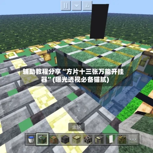 辅助教程分享“方片十三张万能开挂器”(曝光透视必备猫腻)-第2张图片