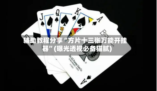 辅助教程分享“方片十三张万能开挂器	”(曝光透视必备猫腻)-第3张图片