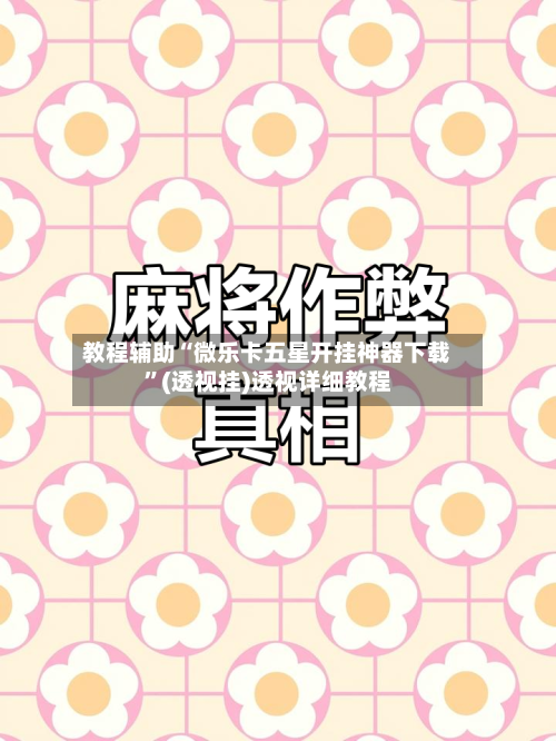 教程辅助“微乐卡五星开挂神器下载	”(透视挂)透视详细教程-第2张图片