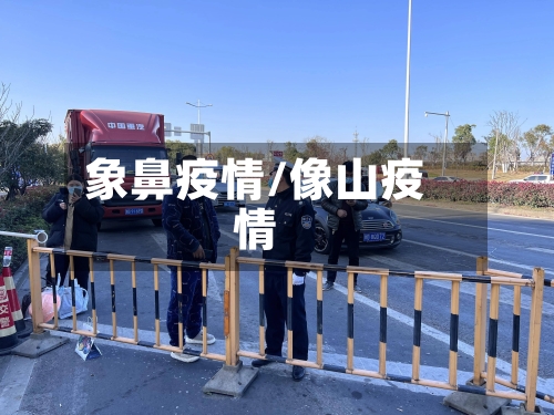 象鼻疫情/像山疫情