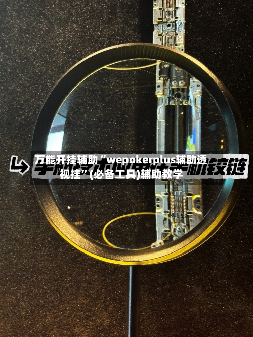 万能开挂辅助“wepokerplus辅助透视挂	”(必备工具)辅助教学-第2张图片