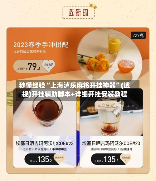 秒懂经验“上海泸乐麻将开挂神器”(透视)开挂辅助脚本+详细开挂安装教程-第2张图片