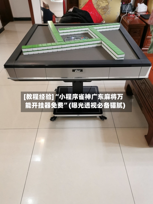 [教程经验]“小程序雀神广东麻将万能开挂器免费”(曝光透视必备猫腻)-第2张图片