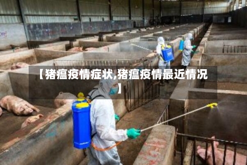 【猪瘟疫情症状,猪瘟疫情最近情况】