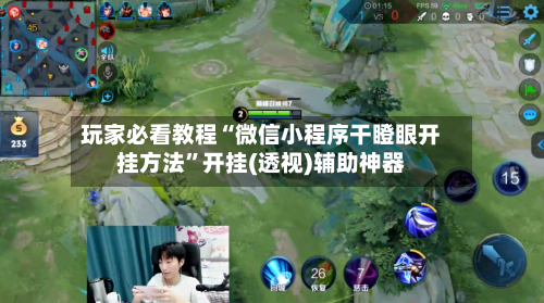 玩家必看教程“微信小程序干瞪眼开挂方法”开挂(透视)辅助神器-第2张图片